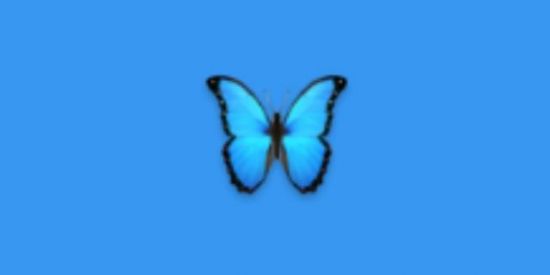 Imagem do grupo de WhatsApp Os top 🤞🏻😂