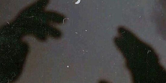 Imagem do grupo de WhatsApp 🌔Drip sombrioカマ🤍