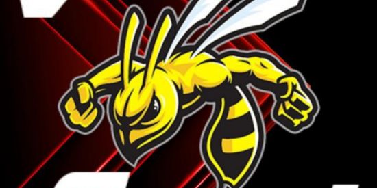 Imagem do grupo de WhatsApp VSJ  E-ESPORT🔥