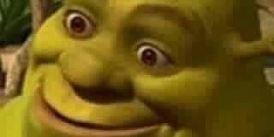 Imagem do grupo de WhatsApp SINDICATO DOS MEMES