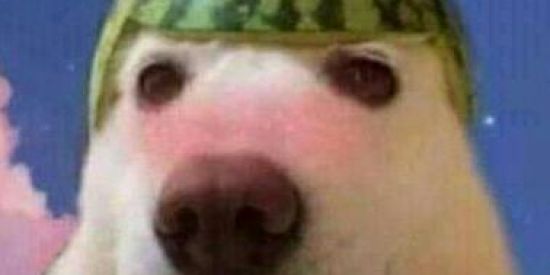 Imagem do grupo de WhatsApp ✨𖣘amizades e memes𖣘✨