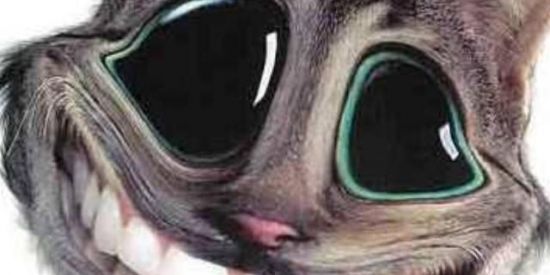 Imagem do grupo de WhatsApp ༒︎༆☢︎︎SOBREVIVENTES☢︎︎༆༒︎