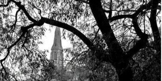 Imagem do grupo de WhatsApp Recrutamento dos Rpgs