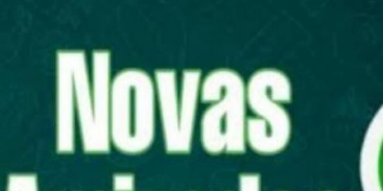 Imagem do grupo de WhatsApp Amizade novas❤️🏃🏼‍♂️