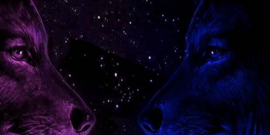 Imagem do grupo de WhatsApp Grupo da madruga