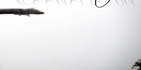 Imagem do grupo de WhatsApp Somos de Cristo Jesus🙏🏽➕