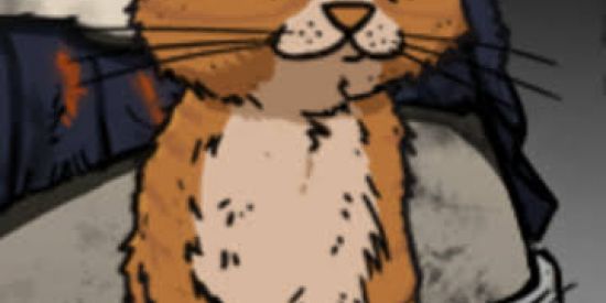 Imagem do grupo de WhatsApp 🙄🤧🤡