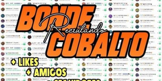 Imagem do grupo de WhatsApp 💥🔥ENGRAJAMENTO ♚CB'ร♚🔥💥♚