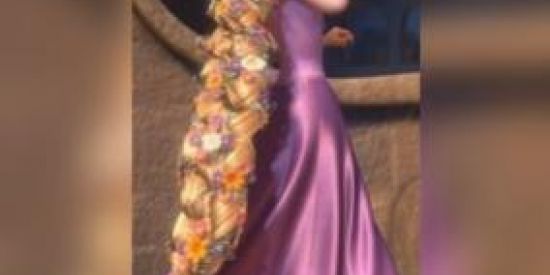 Imagem do grupo de WhatsApp Projeto rapuzel❤️