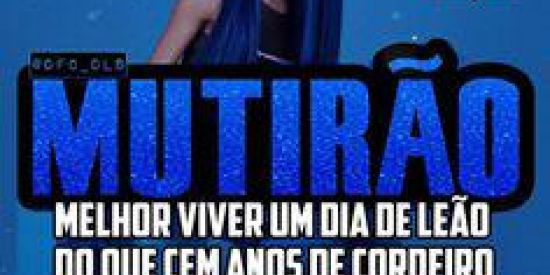 Imagem do grupo de WhatsApp ✨CHUVA DE SEGUIDORES ✨