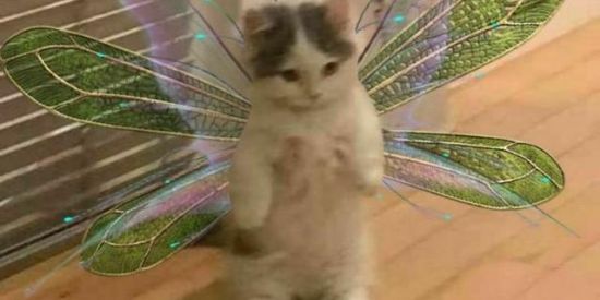 Imagem do grupo de WhatsApp 🧚🏻‍♀️ FAUDINHAS 🧚🏻‍♀️