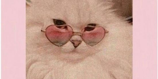 Imagem do grupo de WhatsApp Namoro virtual❤️🕯️