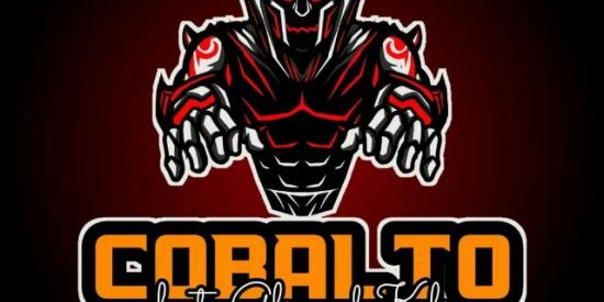 Imagem do grupo de WhatsApp Recrutamento cobalto