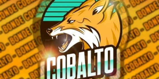 Imagem do grupo de WhatsApp -Rᴇᴄʀᴜᴛᴀᴍᴇɴᴛᴏ Cᴏʙᴀʟᴛᴏ🦊