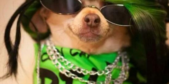 Imagem do grupo de WhatsApp ⚠️RECRUTAMENTO DE MEMBROS⚠️