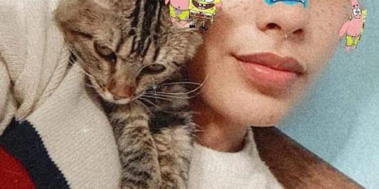 Imagem do grupo de WhatsApp Alerta de Lives EllyGamer