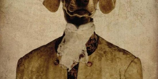 Imagem do grupo de WhatsApp Crazy's Home🐦😱