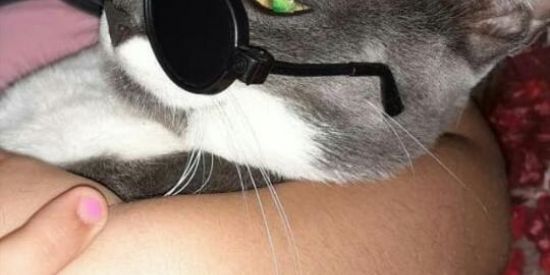 Imagem do grupo de WhatsApp 🍭🍉BΣŁGΛ FIGЦЯΛS ➋➍H🍭🍉