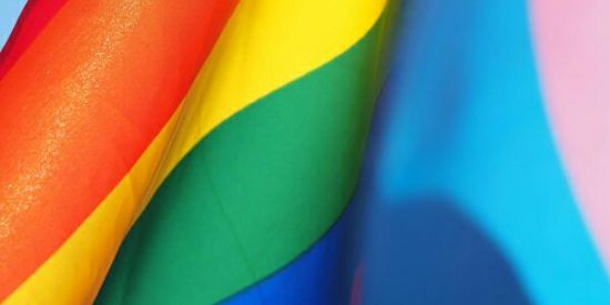 Imagem do grupo de WhatsApp Mundo colorido 🏳‍🌈💖