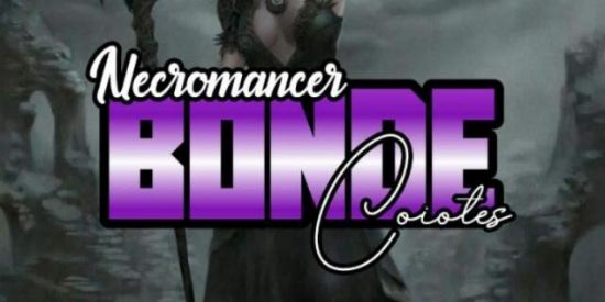 Imagem do grupo de WhatsApp ◇BONDE♔CI'ร♔OFICIAL◇