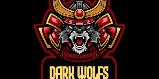 Imagem do grupo de WhatsApp TRIAGEM |•| •D̶W'ຮ• 🐺