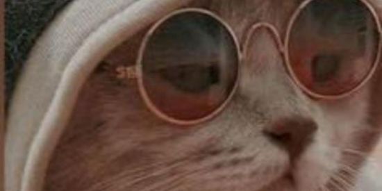 Imagem do grupo de WhatsApp Gangue da Bicicletinha👉🏽👈🏽🔥💣