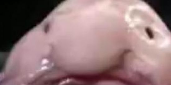 Imagem do grupo de WhatsApp GRUPO conversa