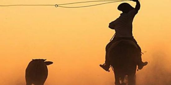 Imagem do grupo de WhatsApp Amantes do laço comprido🐎