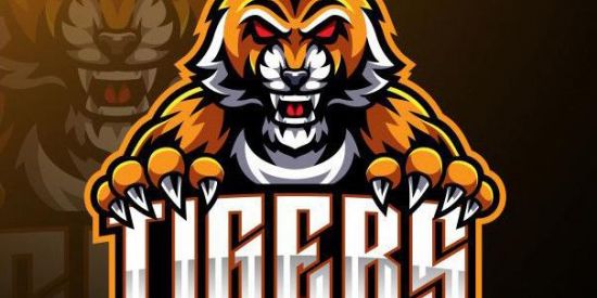 Imagem do grupo de WhatsApp RECRUTAMENTO TIGER🐯|GF’S