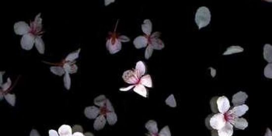 Imagem do grupo de WhatsApp Metadinhas de couples