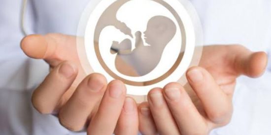 Imagem do grupo de WhatsApp 🧸👶🏻 Em Busca Do "+" 👶🏻🧸