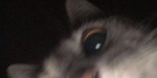 Imagem do grupo de WhatsApp Tudo cornoo🥰