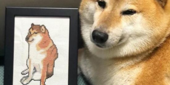 Imagem do grupo de WhatsApp 🆂🅴🅶🆄🆁🅰 🅾 🆃🅲🅷🅰🅽