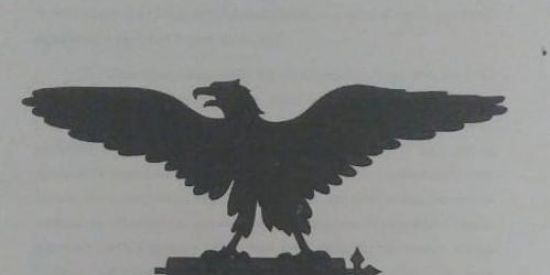 Imagem do grupo de WhatsApp Partido facista brasilero