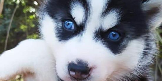 Imagem do grupo de WhatsApp Link na descrição