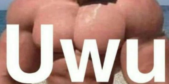 Imagem do grupo de WhatsApp EM BREVE WHATSAPP 7 😱😳🤪