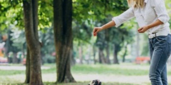 Imagem do grupo de WhatsApp CÃO AMADO, CÃO TREINADO!!