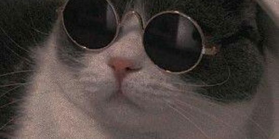 Imagem do grupo de WhatsApp ✨Amizade virtual✨