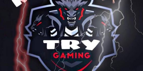 Imagem do grupo de WhatsApp RCT TRY GAMING ッ✨⚡