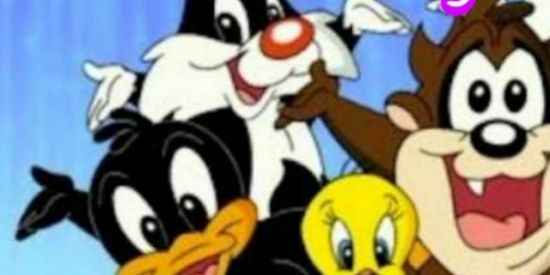 Imagem do grupo de WhatsApp Hospício dos golpes