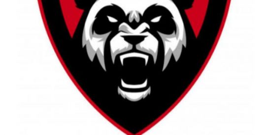 Imagem do grupo de WhatsApp 02🐼ᴘʀᴏᴊᴇᴛᴏ ᴘᴀɴᴅᴀ🐼