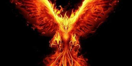 Imagem do grupo de WhatsApp 🔥.A  F E N I X.🔥