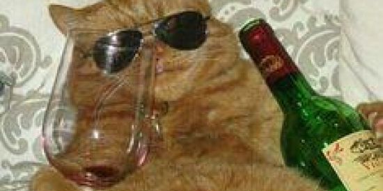 Imagem do grupo de WhatsApp Pega fogo caberé😏🔥💁🏽‍♀️