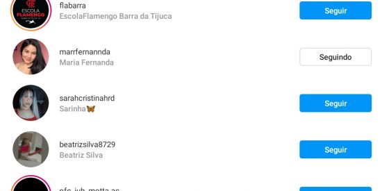 Imagem do grupo de WhatsApp Seguidores no Instagram