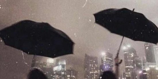 Imagem do grupo de WhatsApp 💫WEB AMIGOS💫