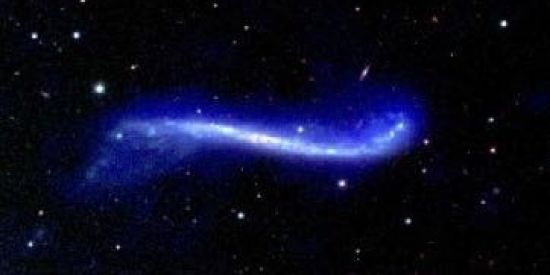 Imagem do grupo de WhatsApp enquarentadx 🔥✨