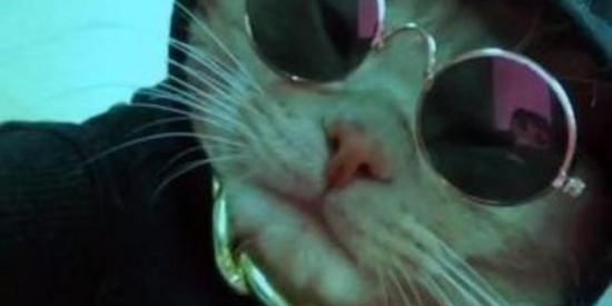 Imagem do grupo de WhatsApp Amiguinhos😎👍