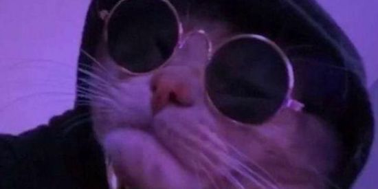 Imagem do grupo de WhatsApp Eteleligina👽✌️