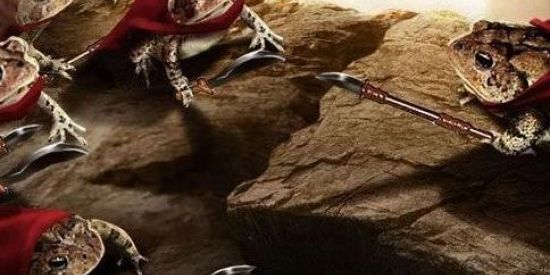 Imagem do grupo de WhatsApp Sapo um pouco mais