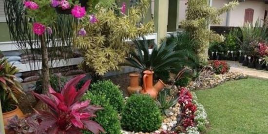 Imagem do grupo de WhatsApp Plantas: Identificação e Dicas🌿🌺🌱